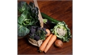 Picture of Seasonal Veg Box, Small