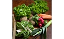 Picture of Organic Seasonal Veg Box, Small