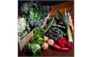 Picture of Seasonal Veg Box, Medium