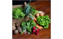 Picture of Organic Seasonal Veg Box, Large
