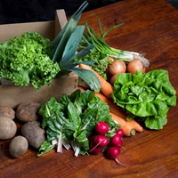 Picture of Organic Seasonal Veg Box, Large