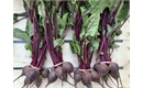 Picture of Baby Beetroot, bunched (apr 350g)