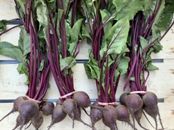 Picture of Baby Beetroot, bunched (apr 350g)