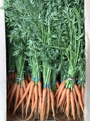 Picture of Baby Carrots, bunched (apx 14 head)