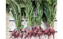 Picture of Baby Chioggia Beetroot, bunched