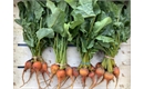 Picture of Golden Baby Beetroot, bunched (apx 6 head)