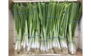 Picture of Spring Onions (bunch)