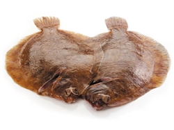 Picture of Lemon Sole