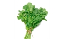 Picture of Fresh Coriander
