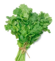 Picture of Fresh Coriander