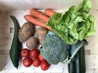Picture of Seasonal Veg Box, Mini