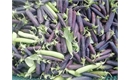 Picture of Purple Peas