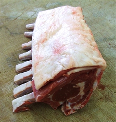 Picture of Trimmed Rack of Lamb