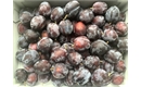 Picture of William John Plums