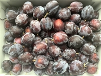 Picture of William John Plums