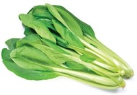 Picture of Komatsuna