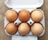 Lauriston Farm Eggs (Medium)