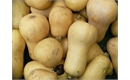 Picture of Butternut Squash