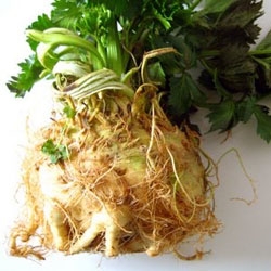 Picture of Whole Celeriac