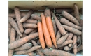 Picture of Carrots, Unwashed