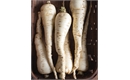 Picture of Parsnips, washed