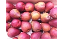 Picture of Regal Red Comice Pears