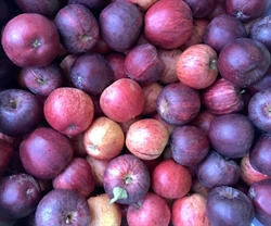 Picture of Royal Gala Apples