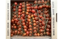 Picture of Cherry Vine Tomatoes