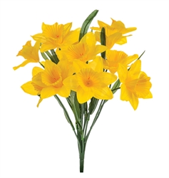Picture of Yellow Seasonal Daffodils