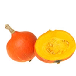 Picture of Onion Squash