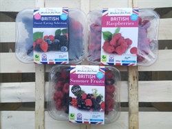 Picture of Herefordshire Berries Selection