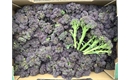 Picture of Tenderstem Broccoli