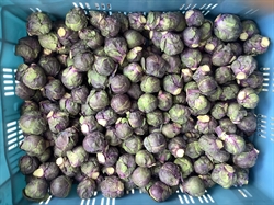Picture of Red Brussel Sprouts