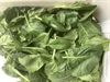 Picture of Baby Leaf Spinach
