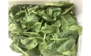 Picture of Baby Leaf Spinach
