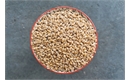 Picture of Flanders Wheat, Wholegrain