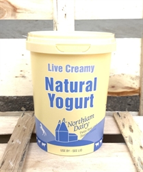 Picture of Live Creamy Wholemilk Yogurt Catering