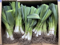 Picture of Leeks