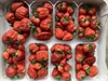 Picture of Kent Premium Strawberries