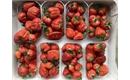 Picture of Kent Premium Strawberries