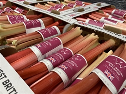 Picture of Wye Valley Forced Rhubarb