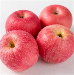 Picture of Fuji Apples