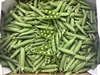 Picture of Garden Peas
