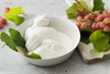 Picture of Burrata