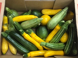 Picture of Mixed Courgettes