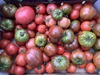 Picture of Mixed Tomatoes