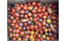 Picture of Mixed Cherry Tomatoes