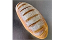 Picture of White Bloomer