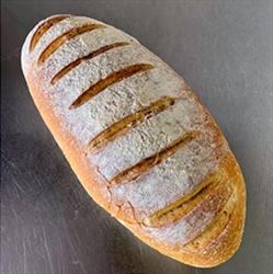Picture of White Bloomer
