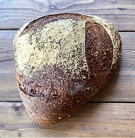 Picture of Barley Rye